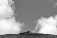 The Breach
