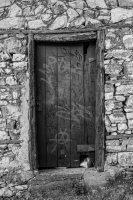 The Door