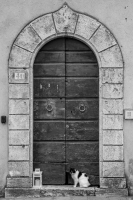 The Doorkeeper