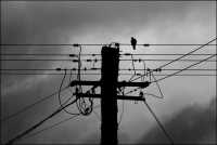 The Electrician