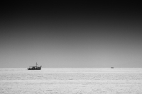 The Encounter