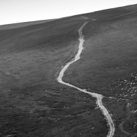 The Path