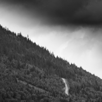 The Path