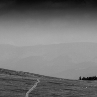 The Path