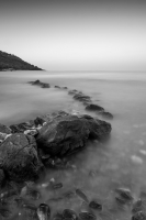 The Path