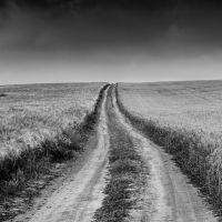 The Path