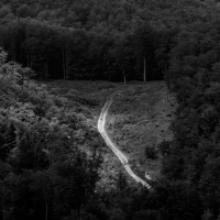The-Path