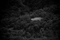The Place