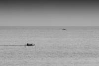The Race