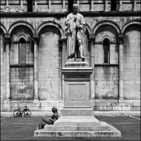The Reader