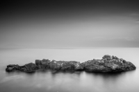 The Sea Monster