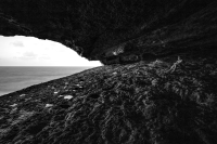 The Shelter