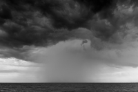 The Storm
