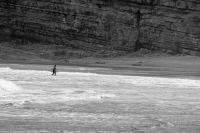 The Surfer