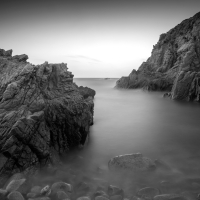 The Way Out