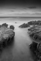 The Way Out
