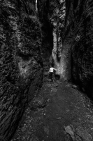 The Way Out