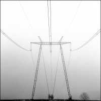 Tree Anchors