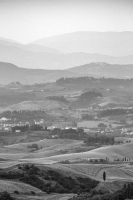 Tuscanscape