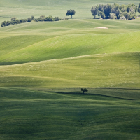 Tuscanscape