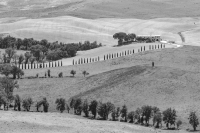 Tuscanscape