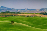 Tuscanscape