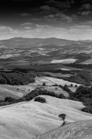 Tuscanscape