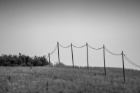 Wired