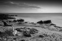 Zenscape